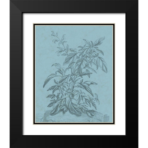 Botanical on Teal III Black Modern Wood Framed Art Print with Double Matting by Vision Studio