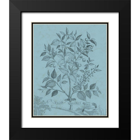 Botanical on Teal V Black Modern Wood Framed Art Print with Double Matting by Vision Studio