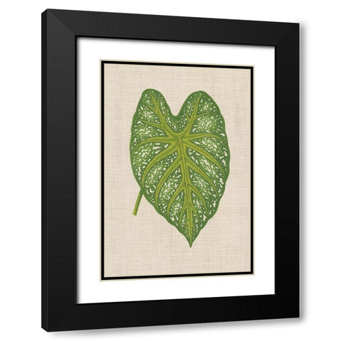 Leaves on Linen I Black Modern Wood Framed Art Print with Double Matting by Unknown