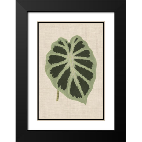 Leaves on Linen II Black Modern Wood Framed Art Print with Double Matting by Unknown