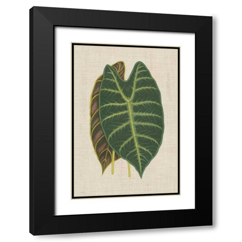 Leaves on Linen III Black Modern Wood Framed Art Print with Double Matting by Unknown