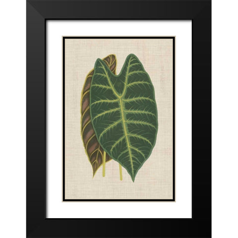 Leaves on Linen III Black Modern Wood Framed Art Print with Double Matting by Unknown