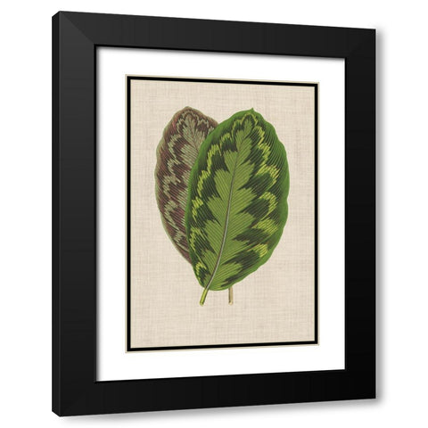 Leaves on Linen IV Black Modern Wood Framed Art Print with Double Matting by Unknown