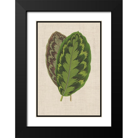Leaves on Linen IV Black Modern Wood Framed Art Print with Double Matting by Unknown