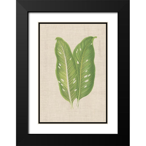 Leaves on Linen V Black Modern Wood Framed Art Print with Double Matting by Unknown