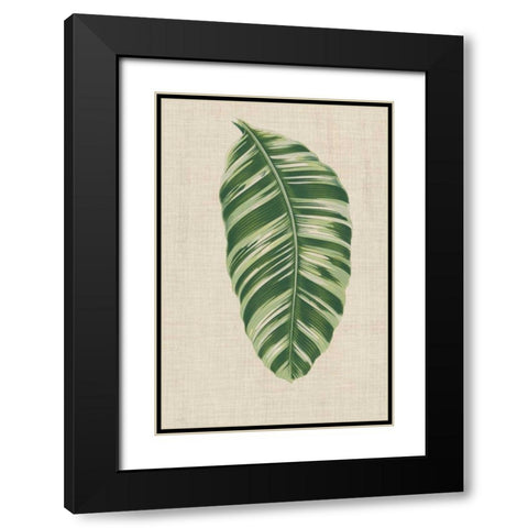 Leaves on Linen VI Black Modern Wood Framed Art Print with Double Matting by Unknown