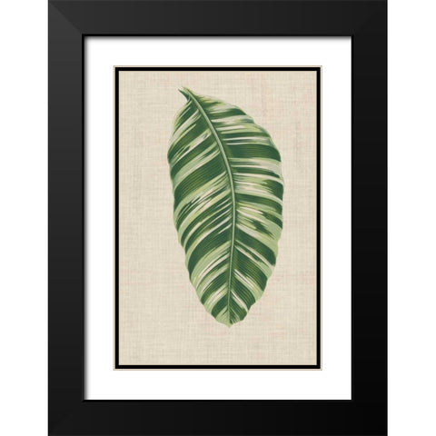 Leaves on Linen VI Black Modern Wood Framed Art Print with Double Matting by Unknown