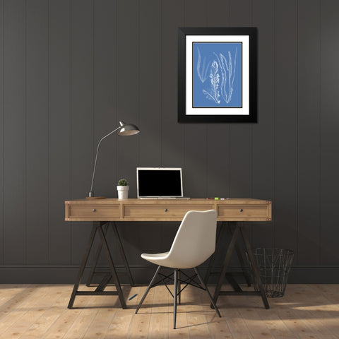 Seaweed Cyanotype IV Black Modern Wood Framed Art Print with Double Matting by Vision Studio