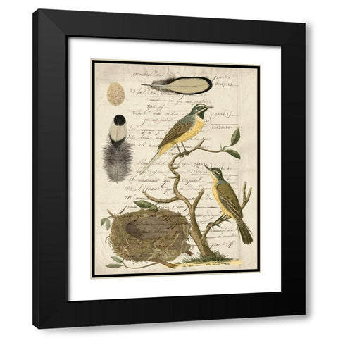 Avian Journal II Black Modern Wood Framed Art Print with Double Matting by Vision Studio