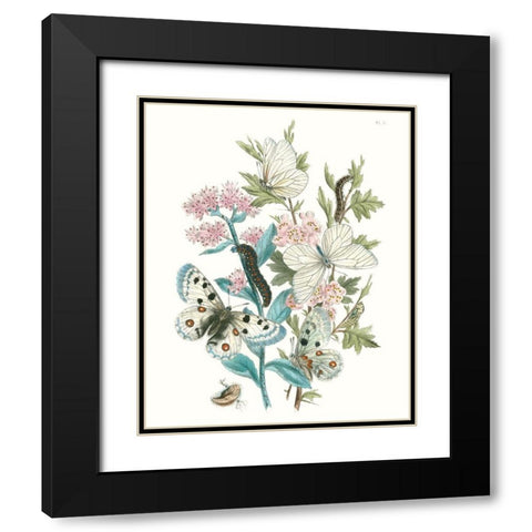 British Butterflies III Black Modern Wood Framed Art Print with Double Matting by Unknown