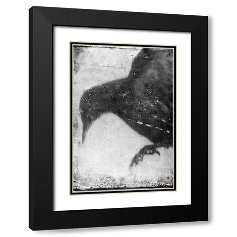 B and W Flight I Black Modern Wood Framed Art Print with Double Matting by Blixt, Ingrid