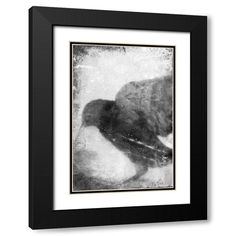 B and W Flight V Black Modern Wood Framed Art Print with Double Matting by Blixt, Ingrid