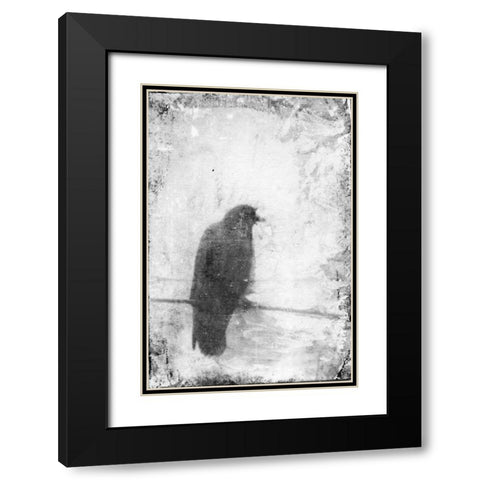 B and W Flight VI Black Modern Wood Framed Art Print with Double Matting by Blixt, Ingrid