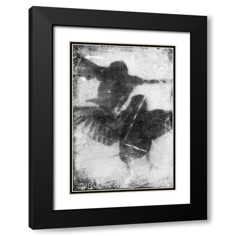 B and W Flight VII Black Modern Wood Framed Art Print with Double Matting by Blixt, Ingrid