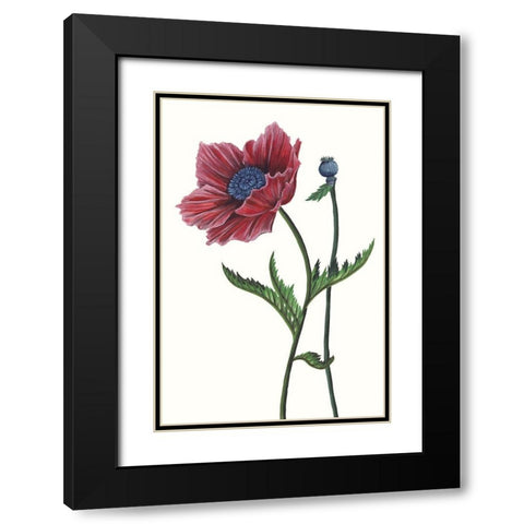 Poppy Flower II Black Modern Wood Framed Art Print with Double Matting by Wang, Melissa