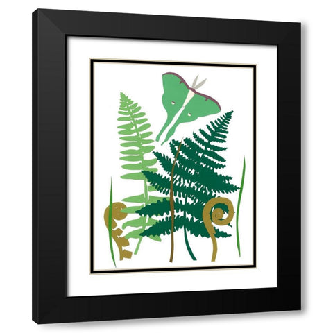Fern Fantasy Garden I Black Modern Wood Framed Art Print with Double Matting by Ludwig, Alicia