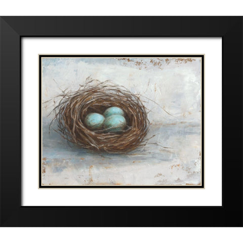 Rustic Bird Nest I Black Modern Wood Framed Art Print with Double Matting by Harper, Ethan