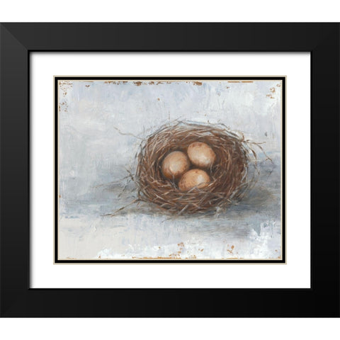 Rustic Bird Nest II Black Modern Wood Framed Art Print with Double Matting by Harper, Ethan
