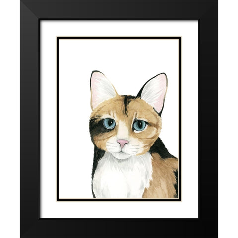 Cat Portrait II Black Modern Wood Framed Art Print with Double Matting by Popp, Grace