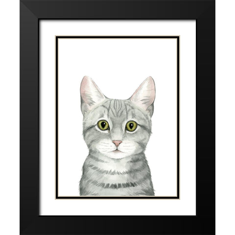Cat Portrait III Black Modern Wood Framed Art Print with Double Matting by Popp, Grace