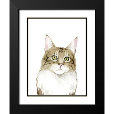 Cat Portrait IV Black Modern Wood Framed Art Print with Double Matting by Popp, Grace