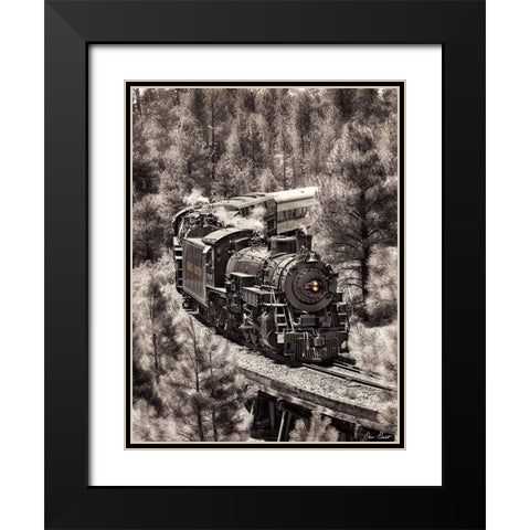 Train Arrival III Black Modern Wood Framed Art Print with Double Matting by Drost, David