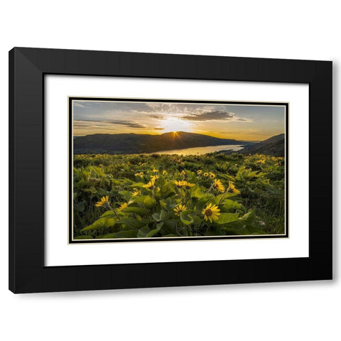 Wake Up Call Black Modern Wood Framed Art Print with Double Matting by Head, Danny