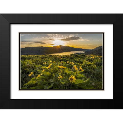 Wake Up Call Black Modern Wood Framed Art Print with Double Matting by Head, Danny