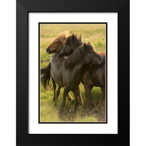 Play Time Black Modern Wood Framed Art Print with Double Matting by Head, Danny