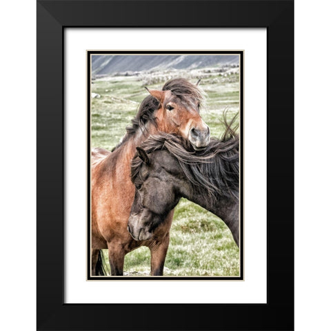 Best Friends Black Modern Wood Framed Art Print with Double Matting by Head, Danny