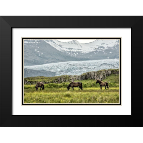 Grazing at the Glacier Black Modern Wood Framed Art Print with Double Matting by Head, Danny