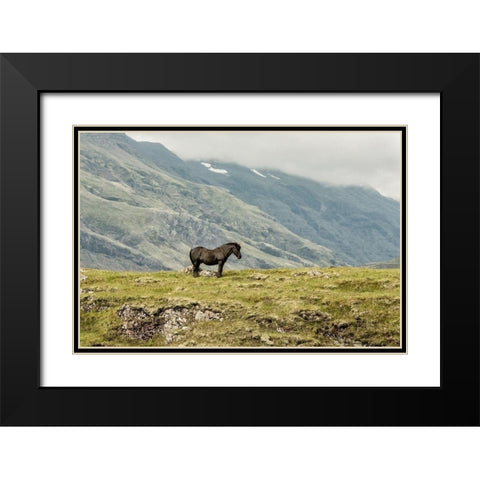 Standing Alone Black Modern Wood Framed Art Print with Double Matting by Head, Danny