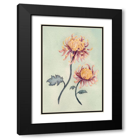 Chrysanthemum Beauty II Black Modern Wood Framed Art Print with Double Matting by Chabot, Natasha