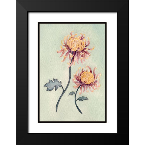 Chrysanthemum Beauty II Black Modern Wood Framed Art Print with Double Matting by Chabot, Natasha