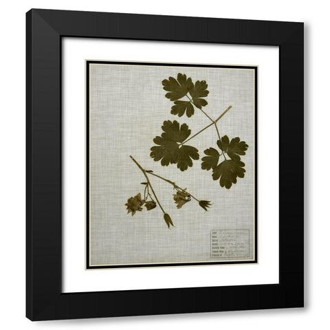 Pressed Leaves on Linen I Black Modern Wood Framed Art Print with Double Matting by Vision Studio
