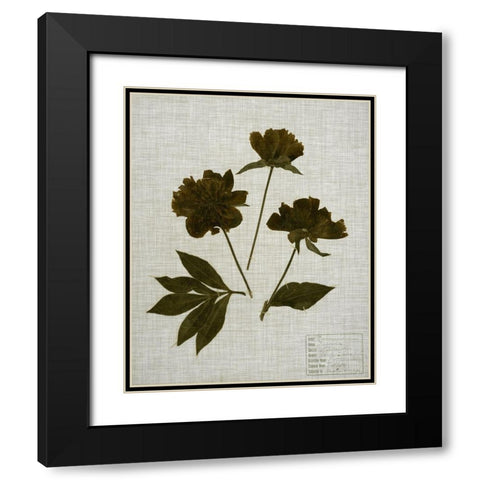 Pressed Leaves on Linen II Black Modern Wood Framed Art Print with Double Matting by Vision Studio