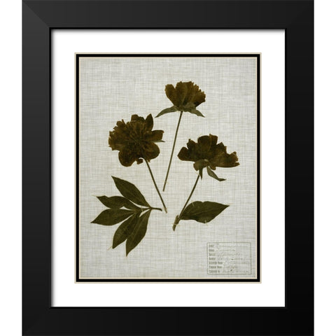 Pressed Leaves on Linen II Black Modern Wood Framed Art Print with Double Matting by Vision Studio