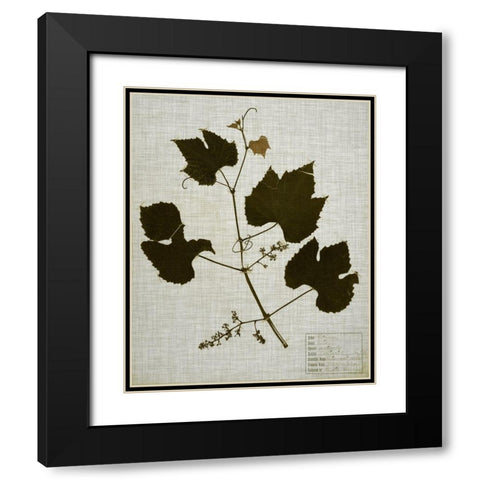 Pressed Leaves on Linen III Black Modern Wood Framed Art Print with Double Matting by Vision Studio