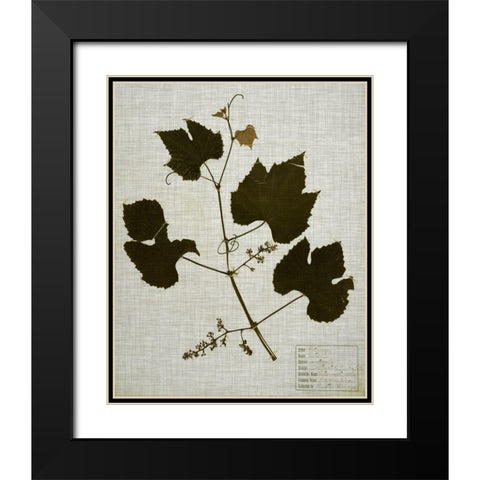 Pressed Leaves on Linen III Black Modern Wood Framed Art Print with Double Matting by Vision Studio