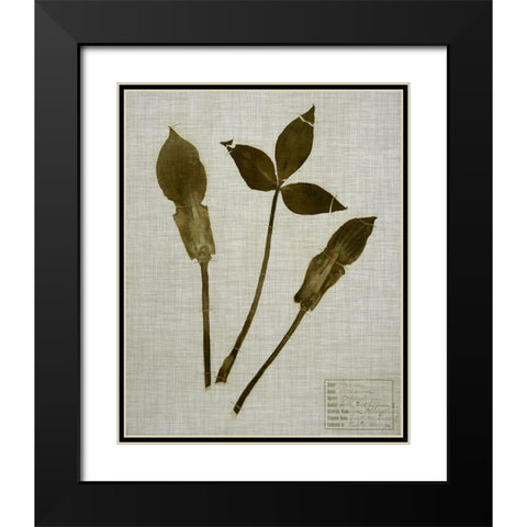 Pressed Leaves on Linen IV Black Modern Wood Framed Art Print with Double Matting by Vision Studio