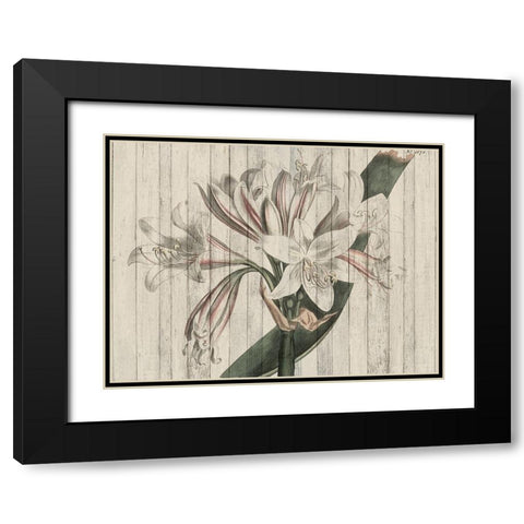 Rustic Floral II Black Modern Wood Framed Art Print with Double Matting by Studio W