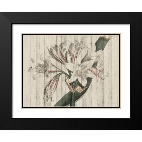 Rustic Floral II Black Modern Wood Framed Art Print with Double Matting by Studio W