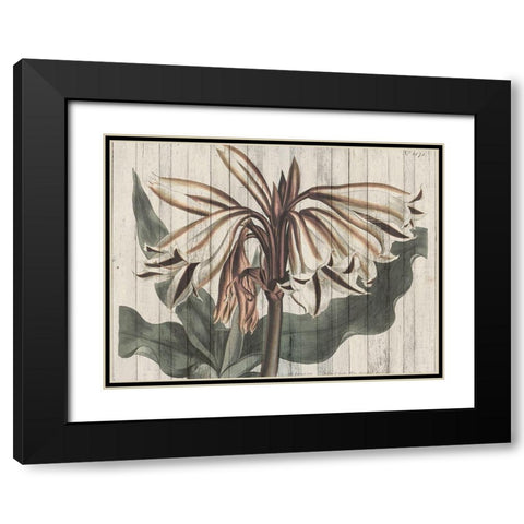 Rustic Floral III Black Modern Wood Framed Art Print with Double Matting by Studio W