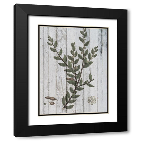 Rustic Greenery II Black Modern Wood Framed Art Print with Double Matting by Studio W
