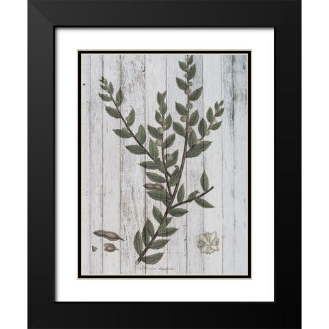Rustic Greenery II Black Modern Wood Framed Art Print with Double Matting by Studio W