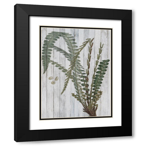 Rustic Greenery IV Black Modern Wood Framed Art Print with Double Matting by Studio W