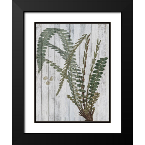 Rustic Greenery IV Black Modern Wood Framed Art Print with Double Matting by Studio W