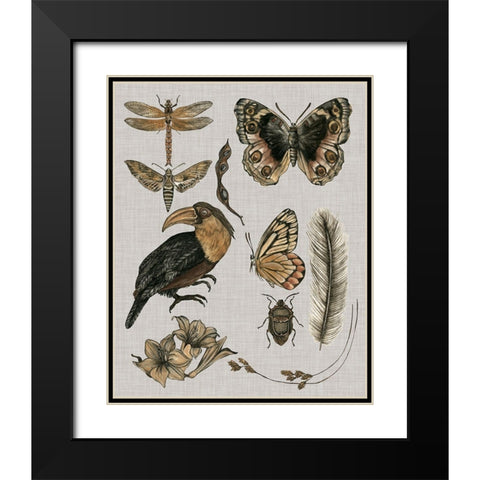 Nature Studies I Black Modern Wood Framed Art Print with Double Matting by Wang, Melissa