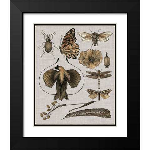 Nature Studies II Black Modern Wood Framed Art Print with Double Matting by Wang, Melissa