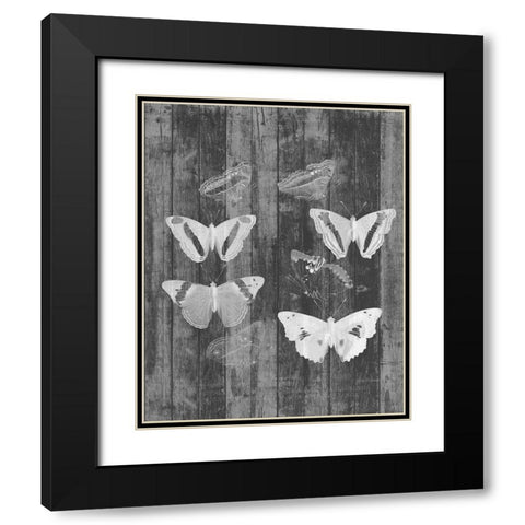 Rustic Butterfly Chart I Black Modern Wood Framed Art Print with Double Matting by Goldberger, Jennifer